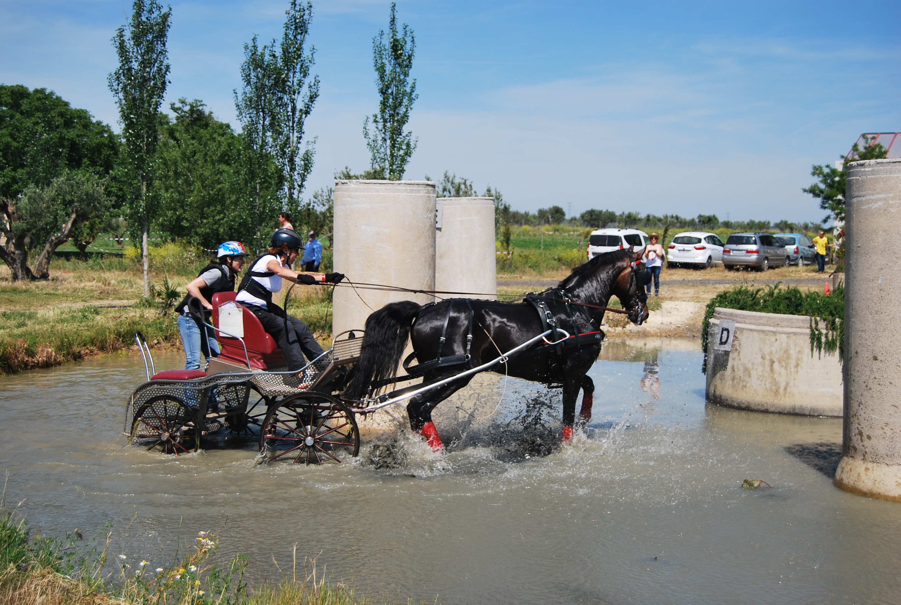 Navarra estará presente en el Campeonato España de Enganches